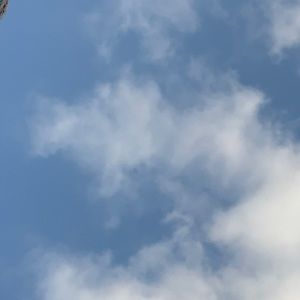 Meet your Posher, Chelsea